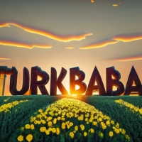Turkbaba: بناء الشراكات العالمية لنجاح مستدام